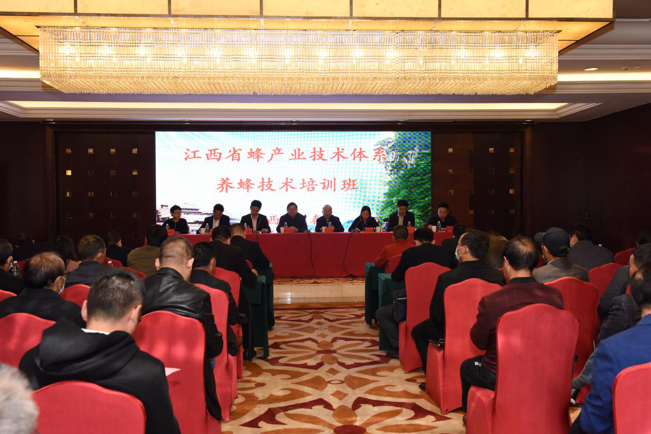中国养蜂学会官网 中国养蜂学会官网首页