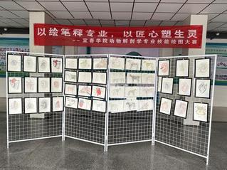 以绘笔释专业，以匠心塑生灵——...